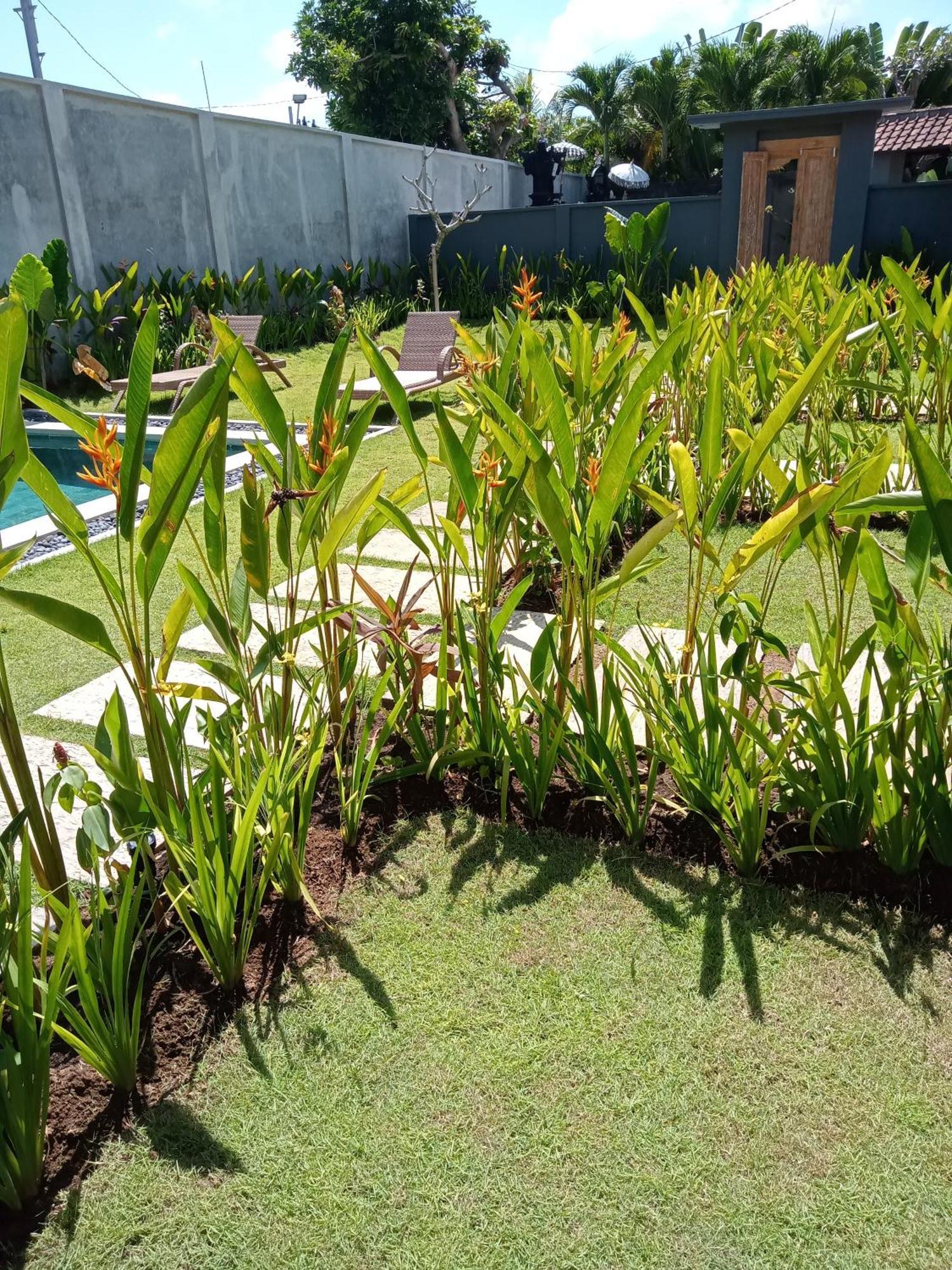 Parama Homestay Balangan Uluwatu Zewnętrze zdjęcie