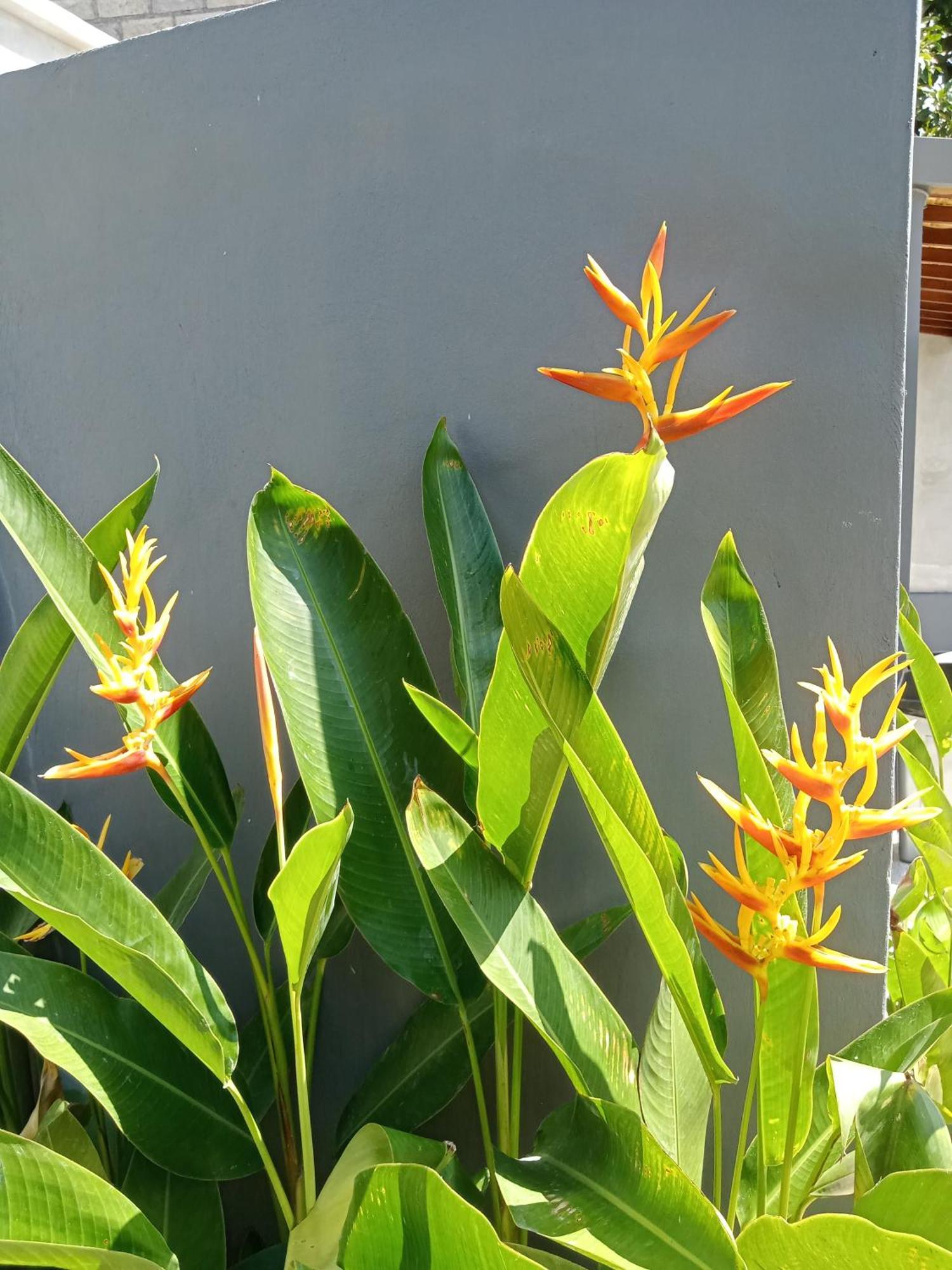 Parama Homestay Balangan Uluwatu Zewnętrze zdjęcie